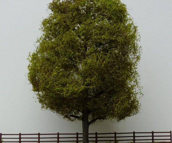 tree_t4