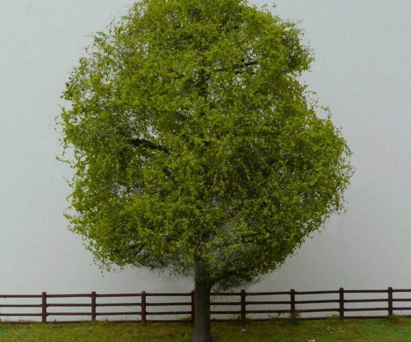 tree_t5