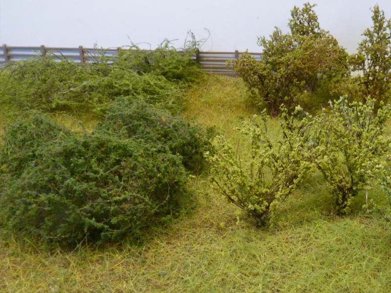 bushes_home